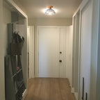 Modern Minimalist Bowl Glass Wood 1-light Semi-flush Mount Ceiling Light for Hallway