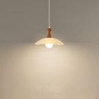 Contemporary Creative Iron And Glass Round Dome 1-Light Pendant Light For Living Room And Bedroom