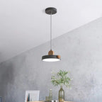 Modern Minimalist Iron Acrylic Round Plate LED Pendant Light For Living Room