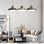 Modern Minimalist Iron Acrylic Round Plate LED Pendant Light For Living Room