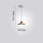 Modern Minimalist Iron Acrylic Round Plate LED Pendant Light For Living Room