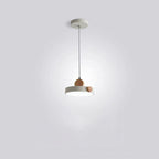 Modern Minimalist Iron Acrylic Round Plate LED Pendant Light For Living Room