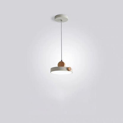 Modern Minimalist Iron Acrylic Round Plate LED Pendant Light For Living Room