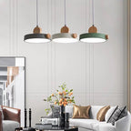 Modern Minimalist Iron Acrylic Round Plate LED Pendant Light For Living Room