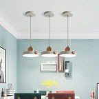 Modern Minimalist Iron Acrylic Round Plate LED Pendant Light For Living Room