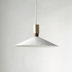Contemporary Nordic Iron Conical Round 1-light Pendant Light for Living Room