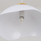 Modern Minimalist Aluminum & Wood Wavy Half-Round 1-Light Pendant Light For Living Room