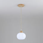 Contemporary Nordic Solid Wood & Acrylic Floral Stripe Round 1-Light Pendant Light For Living Room