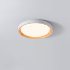 Modern Minimalist Iron & Acrylic Round LED Flush Mount Ceiling Light For Bedroom & Living Room
