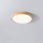 Modern Minimalist Iron & Acrylic Round LED Flush Mount Ceiling Light For Bedroom & Living Room