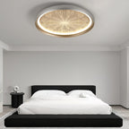 Modern Minimalist Aluminum & PC Round LED Flush Mount Ceiling Light For Bedroom, Living Room