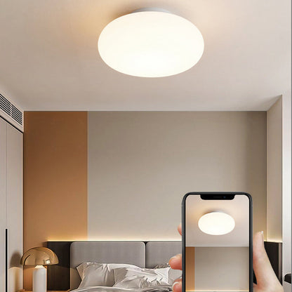 Modern Minimalist Iron & PE Apple Shape LED Semi-Flush Mount Ceiling Light For Bedroom & Living Room