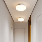 Modern Minimalist Iron & PE Apple Shape LED Semi-Flush Mount Ceiling Light For Bedroom & Living Room