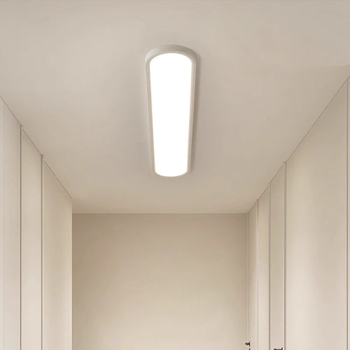 Modern Minimalist Acrylic Aluminum Iron Long Oval LED Flush Mount Ceiling Light For Bedroom & Living Room