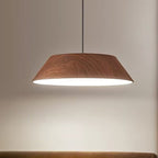 Traditional Rustic Flying Saucer-shaped Iron Acrylic LED Pendant Light For Dining Room