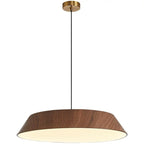 Traditional Rustic Flying Saucer-shaped Iron Acrylic LED Pendant Light For Dining Room