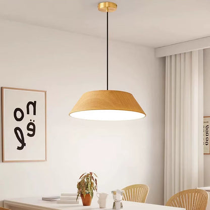 Traditional Rustic Flying Saucer-shaped Iron Acrylic LED Pendant Light For Dining Room