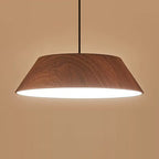 Traditional Rustic Flying Saucer-shaped Iron Acrylic LED Pendant Light For Dining Room