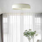 Contemporary Scandinavian Pie Shape Iron Acrylic LED Flush Mount Ceiling Light For Bedroom Lumendat