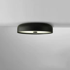 Contemporary Scandinavian Pie Shape Iron Acrylic LED Flush Mount Ceiling Light For Bedroom Lumendat