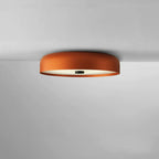 Contemporary Scandinavian Pie Shape Iron Acrylic LED Flush Mount Ceiling Light For Bedroom Lumendat