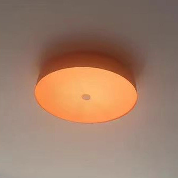 Contemporary Scandinavian Pie Shape Iron Acrylic LED Flush Mount Ceiling Light For Bedroom Lumendat