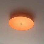 Contemporary Scandinavian Pie Shape Iron Acrylic LED Flush Mount Ceiling Light For Bedroom Lumendat