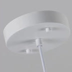 Modern Minimalist Cylindrical Round Resin Glass 1-Light Pendant Light For Dining Room