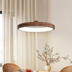Modern Minimalist Round Cylindrical Iron Acrylic LED Pendant Light for Living Room