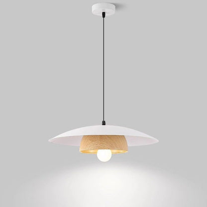 Contemporary Nordic Round Bowl Shape Iron 1-Light Pendant Light For Living Room