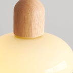 Modern Minimalist Oval Wood Dome Glass Shade 1-Light Pendant Light For Living Room