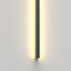 Modern Minimalist Outdoor Waterproof Long Aluminum Acrylic LED Wall Sconce Lamp For Outdoor Patio