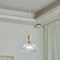 Contemporary Nordic Drum Wood Glass 1-Light Pendant Light For Living Room