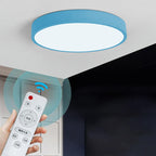 Contemporary Scandinavian Round Iron Acrylic LED Flush Mount Ceiling Light For Living Room