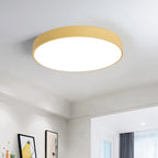 Contemporary Scandinavian Round Iron Acrylic LED Flush Mount Ceiling Light For Living Room