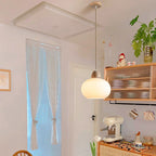 Contemporary Scandinavian Oval Wood Glass 1-Light Pendant Light For Living Room