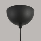 Modern Minimalist Oval Iron Glass Acrylic LED Pendant Light For Living Room
