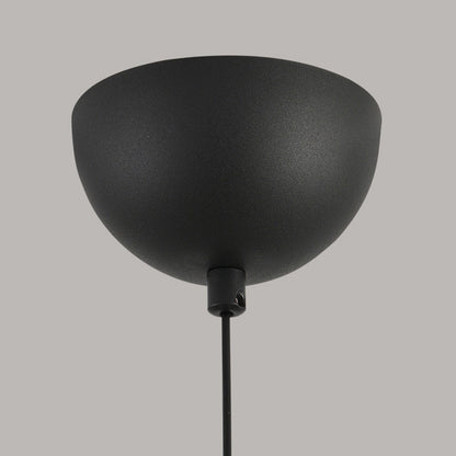 Modern Minimalist Oval Iron Glass Acrylic LED Pendant Light For Living Room