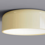 Contemporary Creative Round Iron Acrylic LED Flush Mount Ceiling Light For Living Room