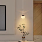 Modern Minimalist Oval Aluminum Plastic LED Pendant Light For Living Room