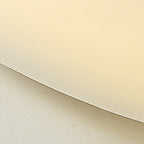 Modern Minimalist Pebble Shape Hardware PE LED Flush Mount Ceiling Light For Bedroom Lumendat