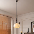 Contemporary Retro Wood Aluminum Silk Globe 1-Light Pendant Light For Living Room