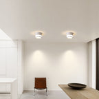 Modern Minimalist Cylinder Acrylic Aluminum LED Flush Mount Ceiling Light for Living Room