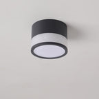 Modern Minimalist Cylinder Acrylic Aluminum LED Flush Mount Ceiling Light for Living Room