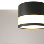 Modern Minimalist Cylinder Acrylic Aluminum LED Flush Mount Ceiling Light for Living Room