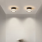 Modern Minimalist Cylinder Acrylic Aluminum LED Flush Mount Ceiling Light for Living Room