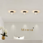 Modern Minimalist Cylinder Acrylic Aluminum LED Flush Mount Ceiling Light for Living Room