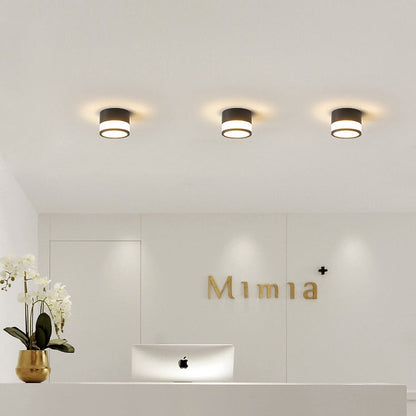 Modern Minimalist Cylinder Acrylic Aluminum LED Flush Mount Ceiling Light for Living Room