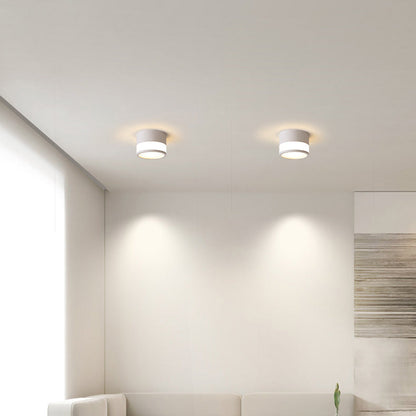 Modern Minimalist Cylinder Acrylic Aluminum LED Flush Mount Ceiling Light for Living Room