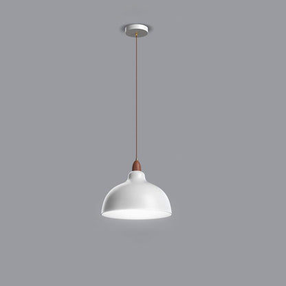 Modern Minimalist Bowl Shaped Hardware Wood 1-Light Pendant Light For Bedroom